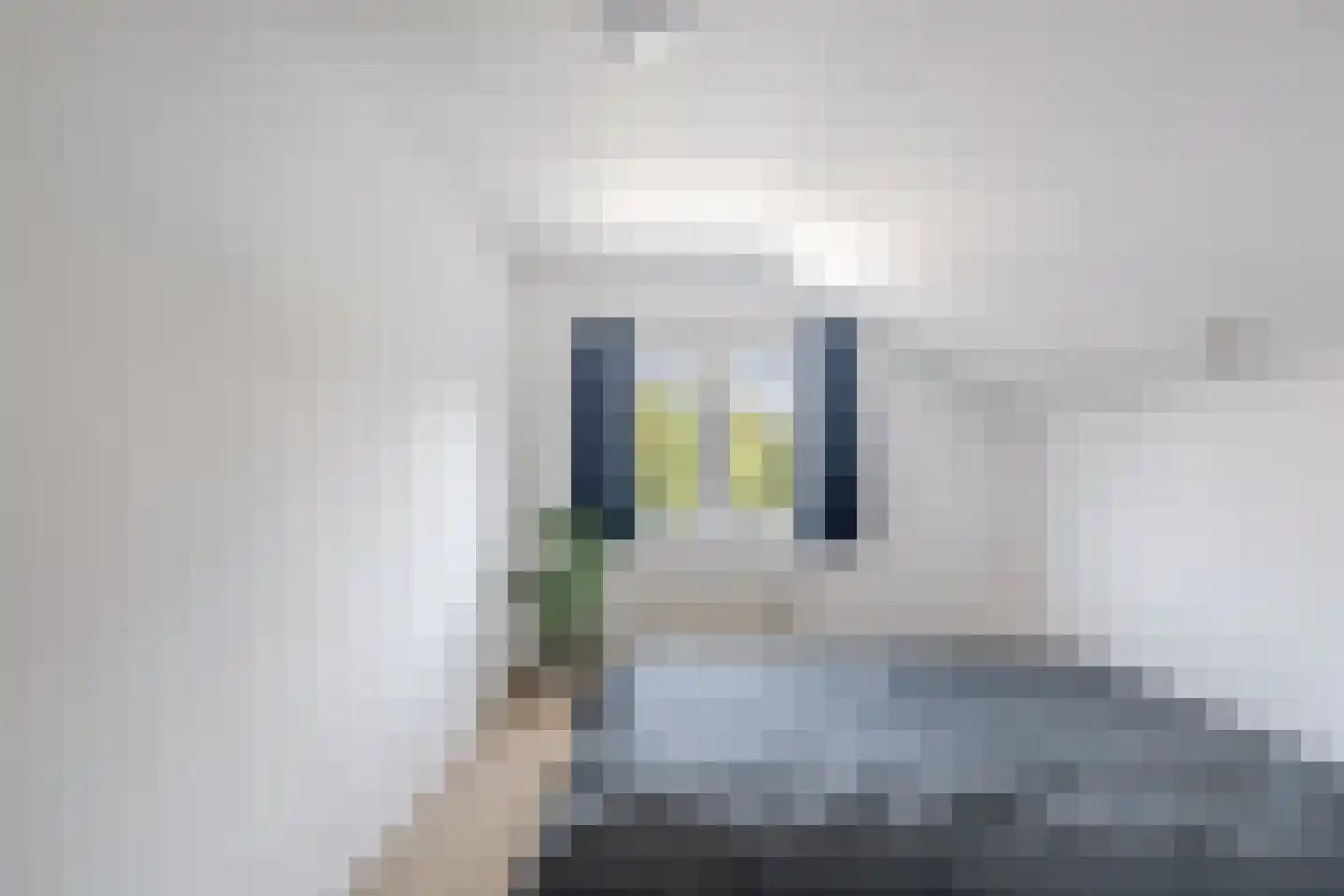 Nije Buorren 20 Bakkeveen thumbnail 27