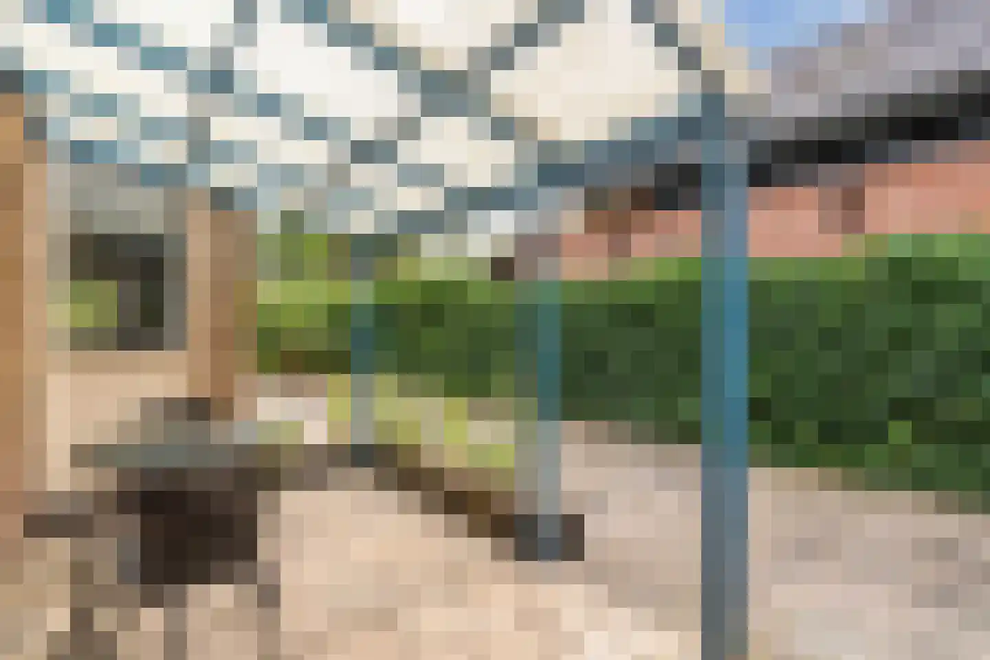 Nije Buorren 20 Bakkeveen thumbnail 37