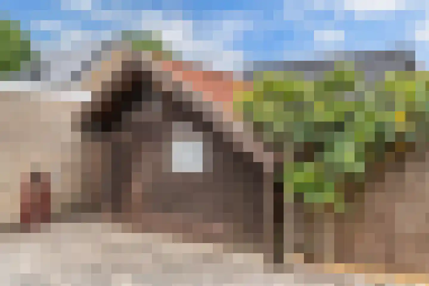 Nije Buorren 20 Bakkeveen thumbnail 40