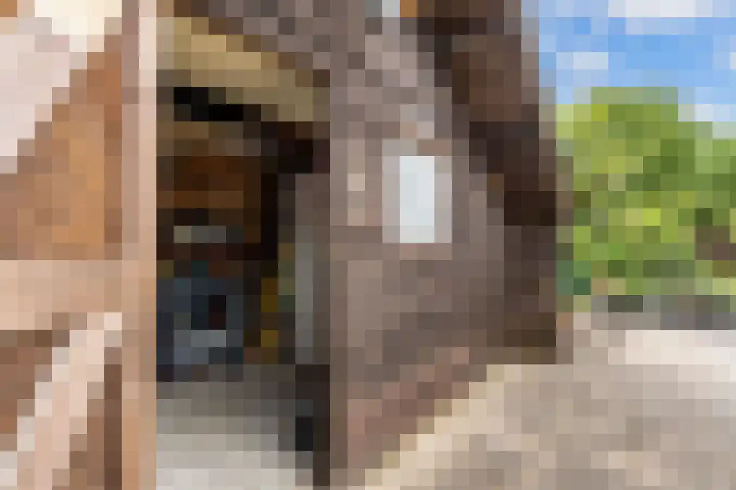 Nije Buorren 20 Bakkeveen thumbnail 41