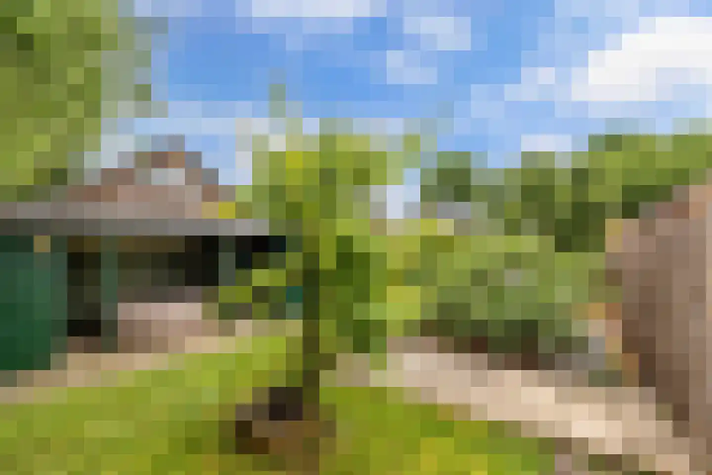 Nije Buorren 20 Bakkeveen thumbnail 45