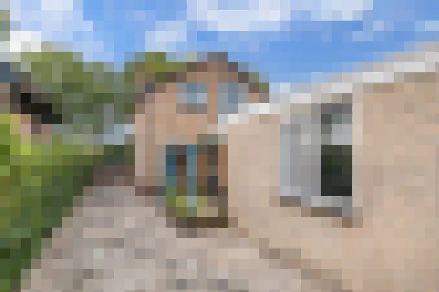 Nije Buorren 20 Bakkeveen thumbnail 47