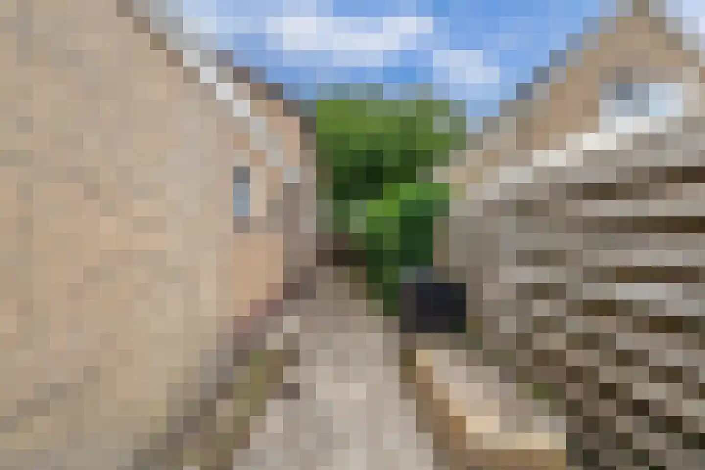 Nije Buorren 20 Bakkeveen thumbnail 49