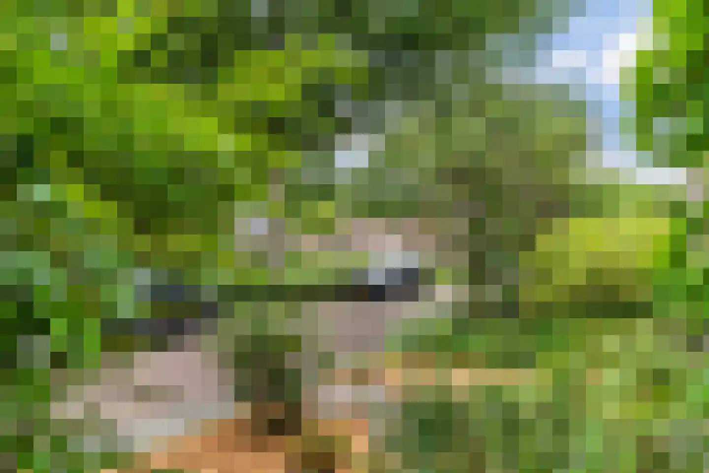 Nije Buorren 20 Bakkeveen thumbnail 50