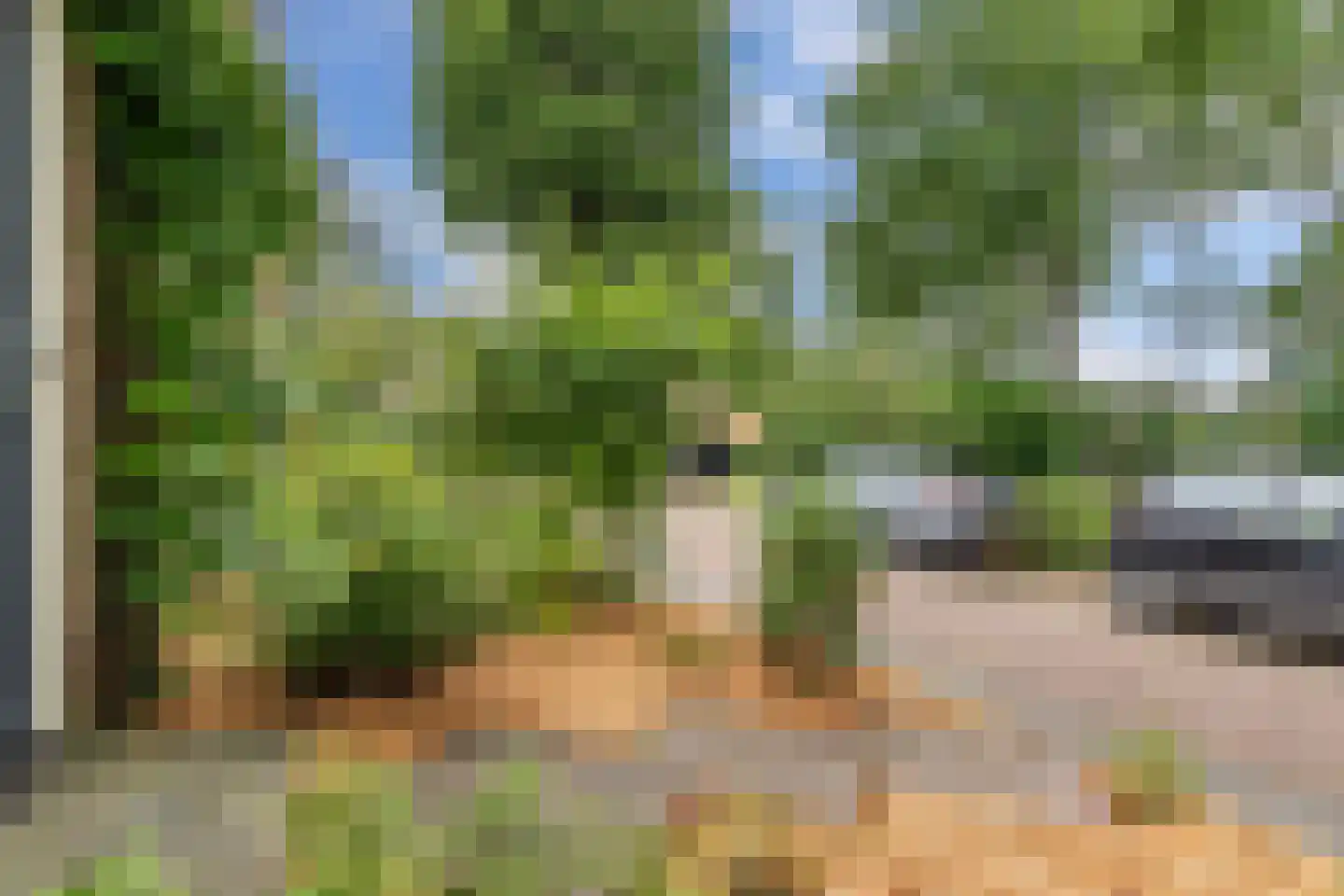 Nije Buorren 20 Bakkeveen thumbnail 51