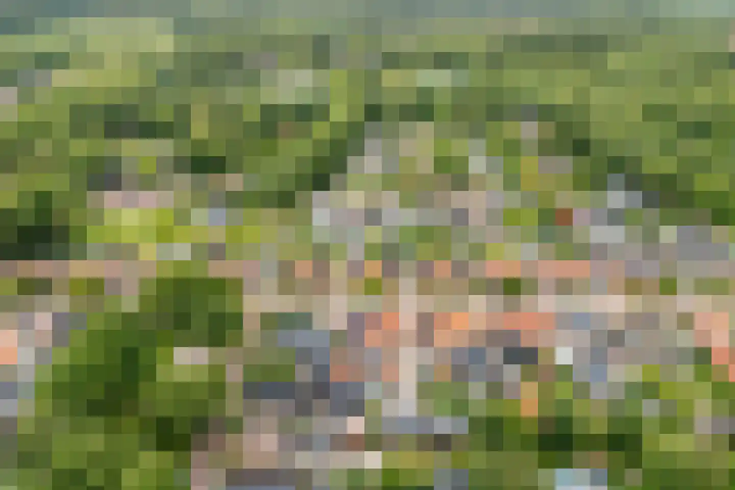 Nije Buorren 20 Bakkeveen thumbnail 53