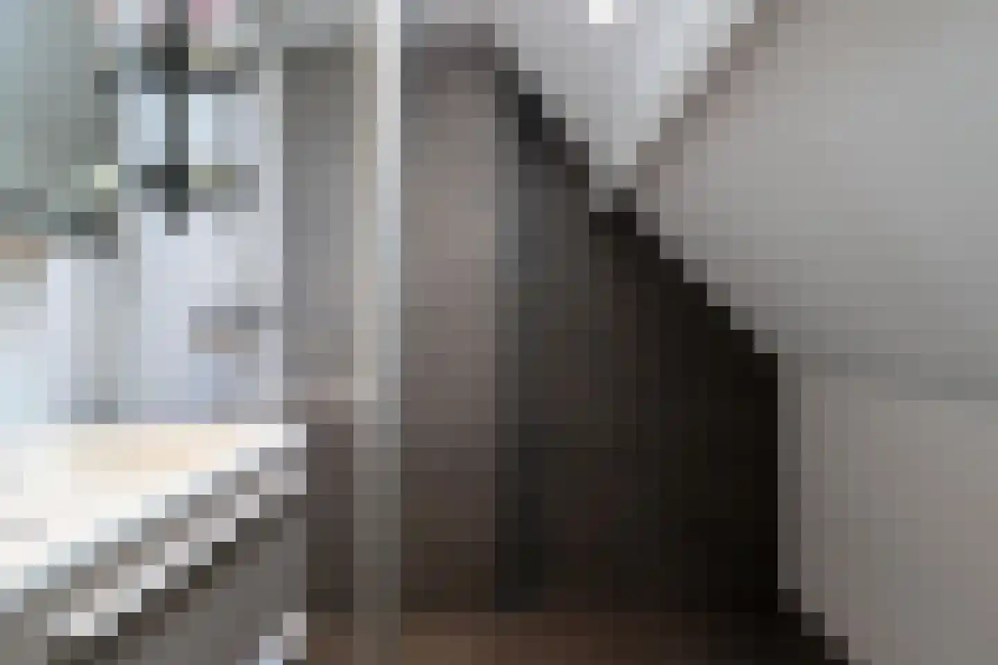 Nije Buorren 30 Bakkeveen thumbnail 35