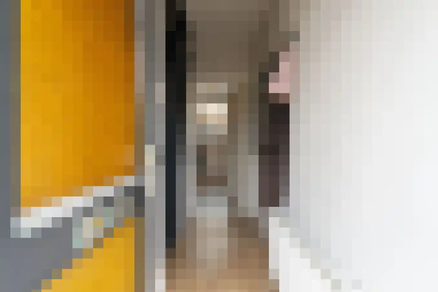 Nije Buorren 30 Bakkeveen thumbnail 7
