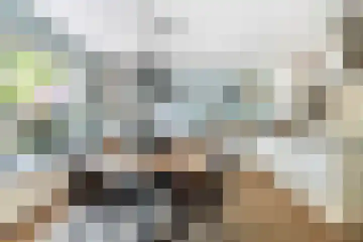 Nije Buorren 6 Ferwert thumbnail 13