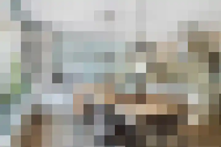 Nije Buorren 6 Ferwert thumbnail 14
