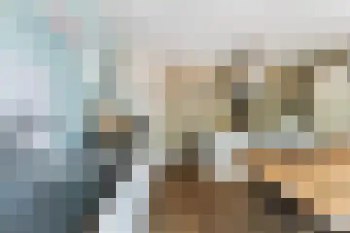 Nije Buorren 6 Ferwert thumbnail 17