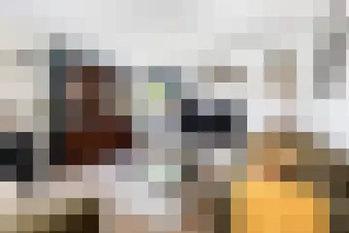 Nije Buorren 6 Ferwert foto 2