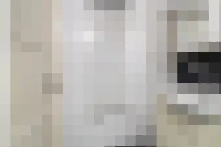 Nije Buorren 6 Ferwert thumbnail 24