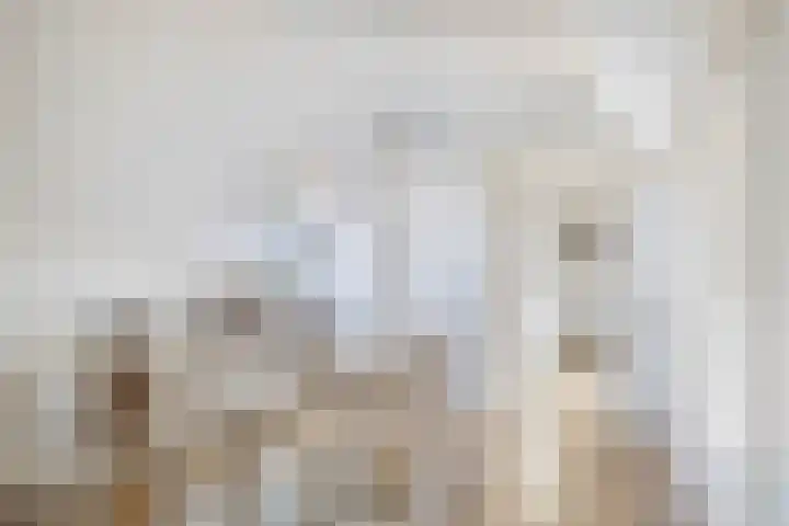 Nije Buorren 6 Ferwert thumbnail 25