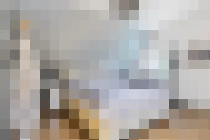 Nije Buorren 6 Ferwert thumbnail 27