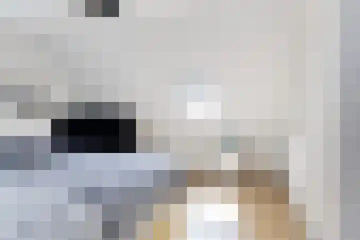 Nije Buorren 6 Ferwert thumbnail 28