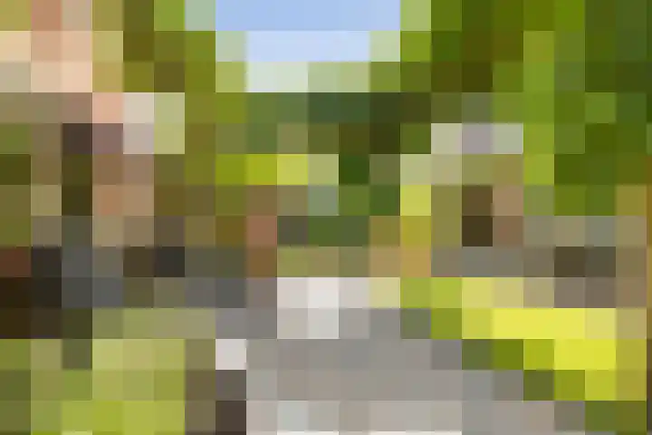 Nije Buorren 6 Ferwert foto 3