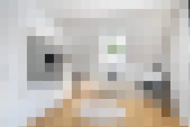 Nije Buorren 6 Ferwert thumbnail 32