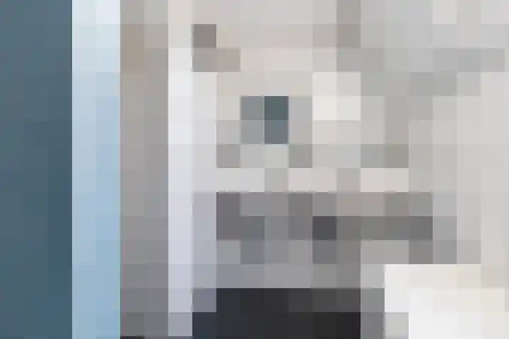 Nije Buorren 6 Ferwert thumbnail 34