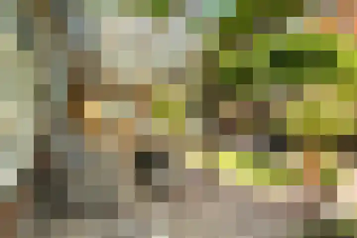 Nije Buorren 6 Ferwert thumbnail 39