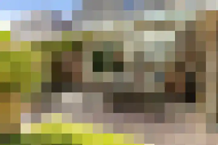 Nije Buorren 6 Ferwert thumbnail 40