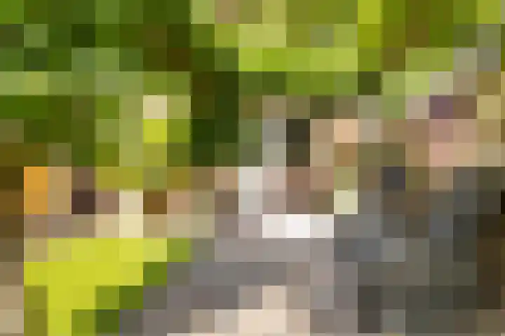 Nije Buorren 6 Ferwert thumbnail 41