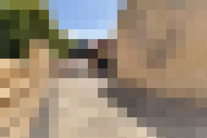 Nije Buorren 6 Ferwert thumbnail 44