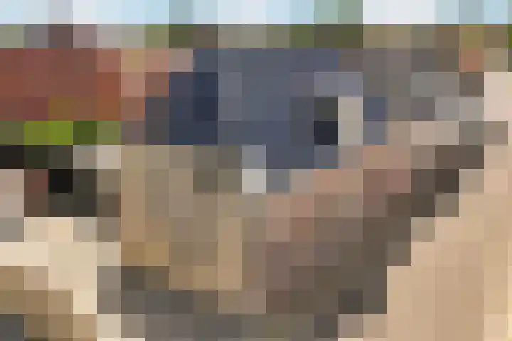 Nije Buorren 6 Ferwert thumbnail 51