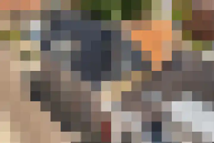 Nije Buorren 6 Ferwert thumbnail 52