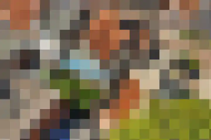 Nije Buorren 6 Ferwert thumbnail 53