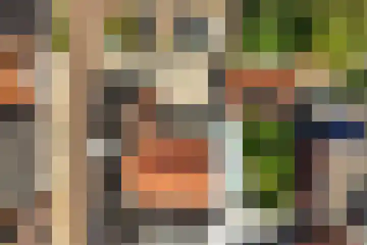 Nije Buorren 6 Ferwert thumbnail 54