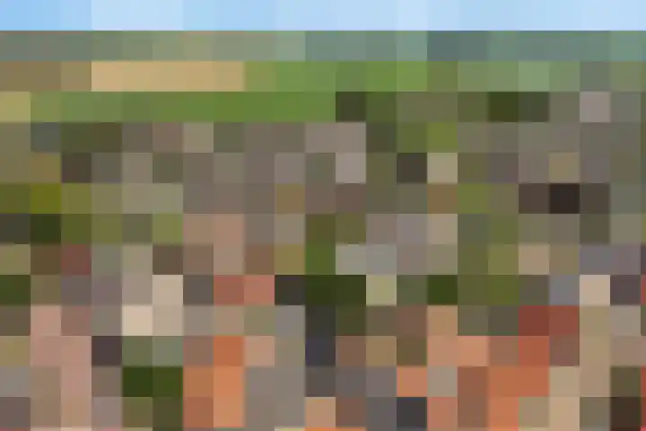 Nije Buorren 6 Ferwert thumbnail 55