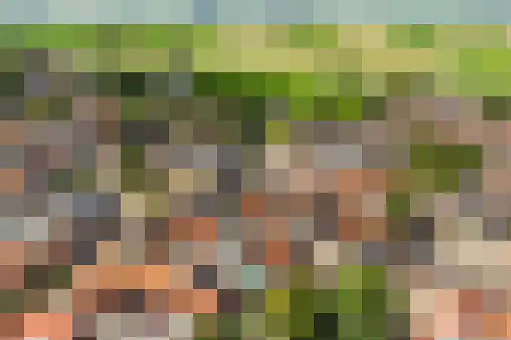 Nije Buorren 6 Ferwert thumbnail 56