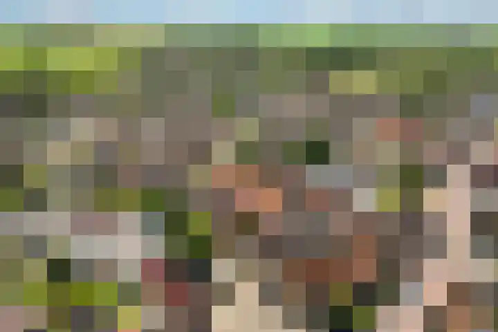 Nije Buorren 6 Ferwert thumbnail 57