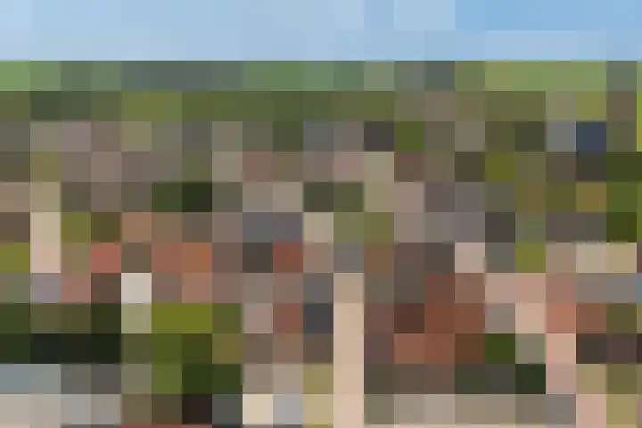 Nije Buorren 6 Ferwert thumbnail 58