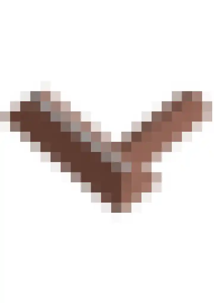 Nije Buorren 6 Ferwert thumbnail 64