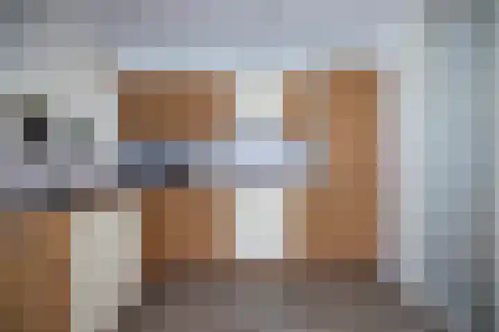 Nije Hoarnstleane 8 Eastermar thumbnail 13