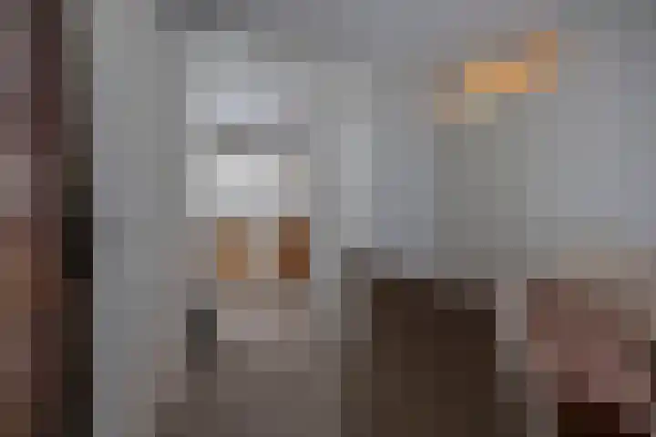 Nije Hoarnstleane 8 Eastermar thumbnail 16