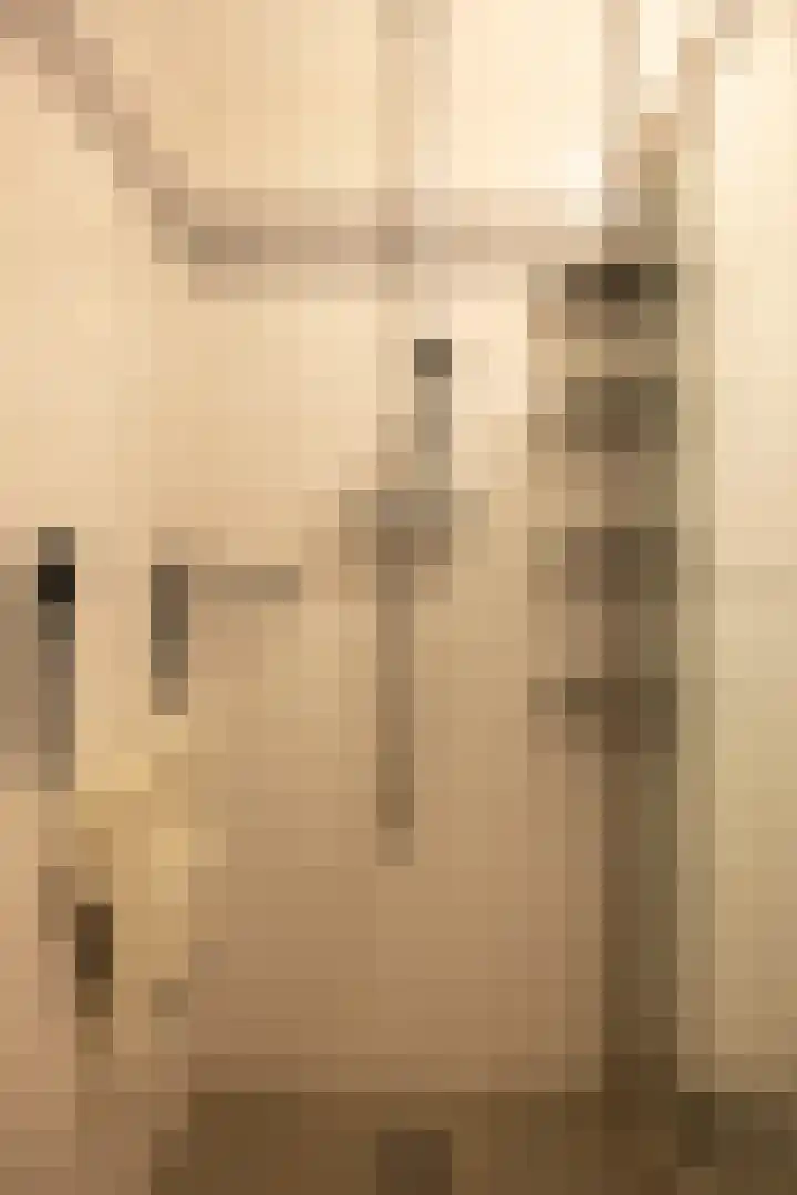 Nije Hoarnstleane 8 Eastermar thumbnail 23
