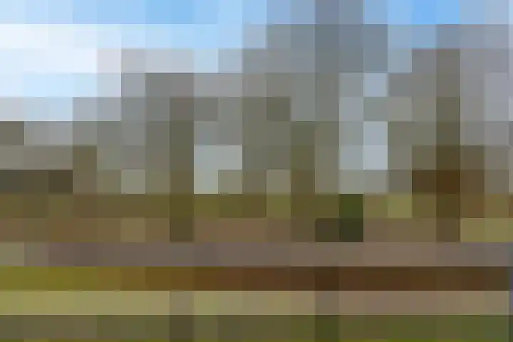Nije Hoarnstleane 8 Eastermar thumbnail 30