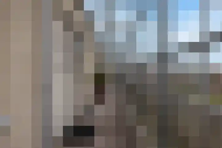 Nije Hoarnstleane 8 Eastermar thumbnail 32