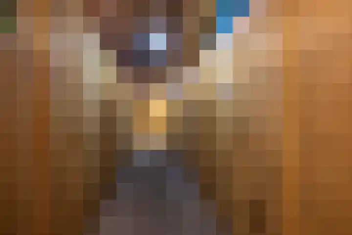 Nije Hoarnstleane 8 Eastermar thumbnail 35