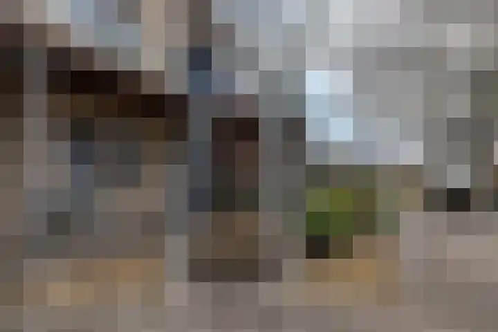 Nije Hoarnstleane 8 Eastermar thumbnail 37
