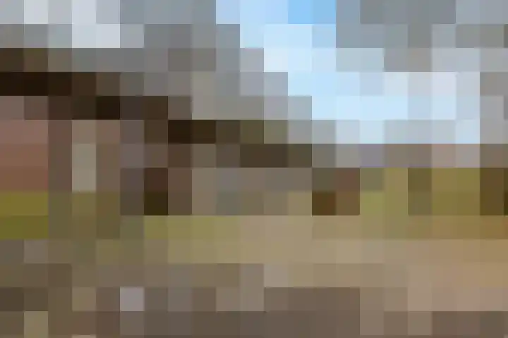 Nije Hoarnstleane 8 Eastermar thumbnail 41