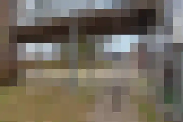 Nije Hoarnstleane 8 Eastermar thumbnail 43