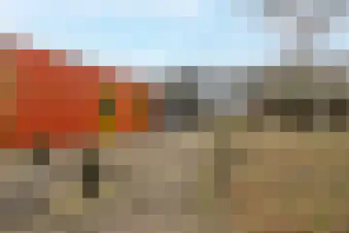 Nije Hoarnstleane 8 Eastermar thumbnail 44