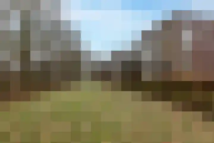 Nije Hoarnstleane 8 Eastermar thumbnail 45