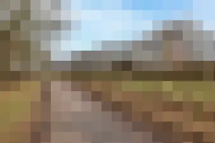 Nije Hoarnstleane 8 Eastermar thumbnail 46