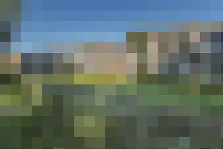Nije Hoarnstleane 8 Eastermar thumbnail 48