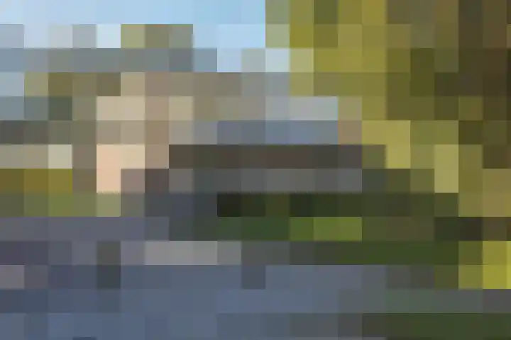 Nije Hoarnstleane 8 Eastermar thumbnail 50